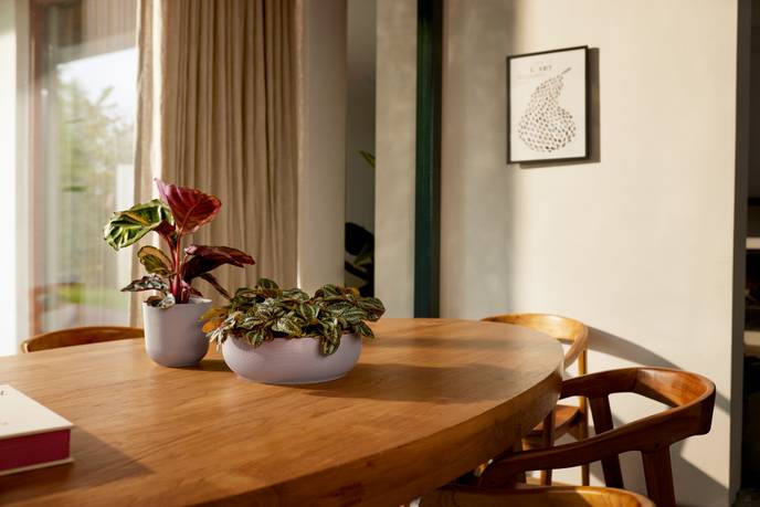 jazz bowl 28cm lavande lilas